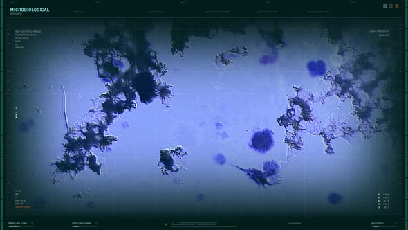 Medical Software is Examining the biological composition of the infection cells alt