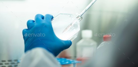 Chemist wearing protective gloves conducting a scientific
