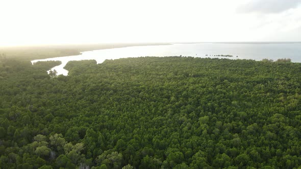 Coast of Zanzibar Island Tanzania Covered with Thickets alt