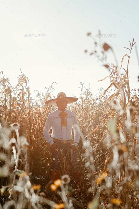 A happy cowboy, hat tipped, under the sky, amidst flowering meadows