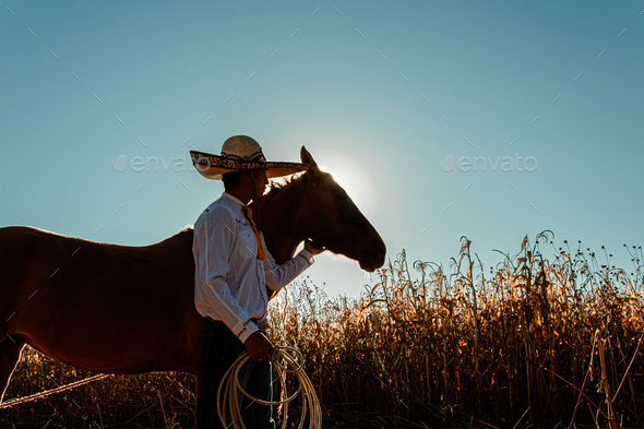 A cowboy, his lariat, and a trusty horse under the vast sky