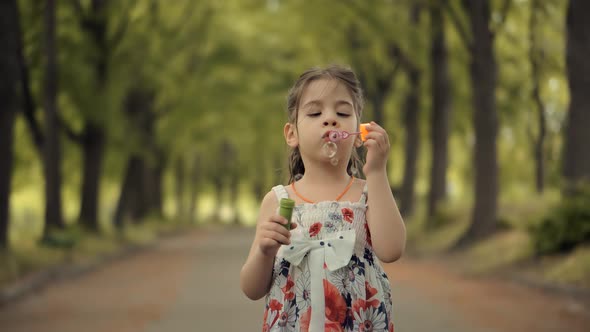 Girl Blowing Soap Bubbles. Family Having Fun In Park. Preschool Kid Leisure Outdoor Soap Bubble. alt