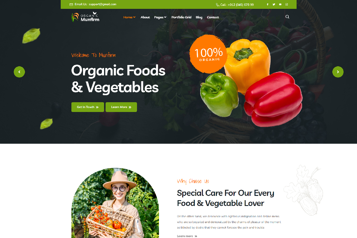 Munfirm - Organic & Healthy Food Elementor Template Kit by surisoft