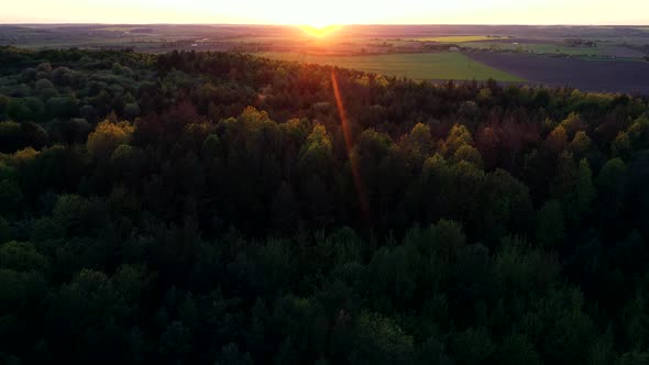 Above Forest On Sunset
