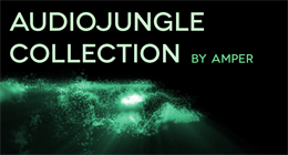 AUDIOJUNGLE COLLECTION BY AMPERMOTION