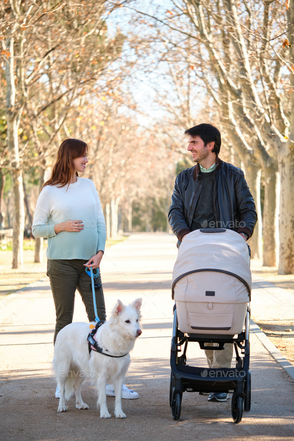 Walking dog 2024 with baby stroller