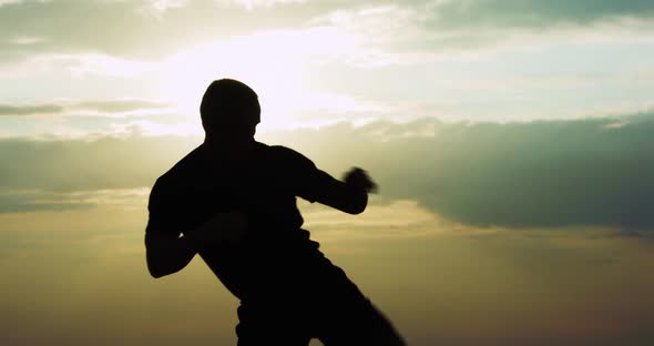 Silhouettes Performance of Martial Art on Evening Colourful Sky Background alt