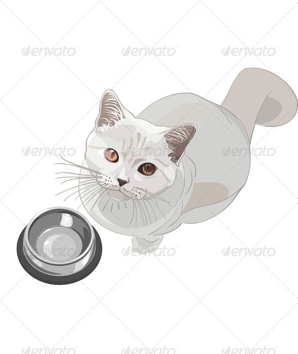 Vector cat requests that have