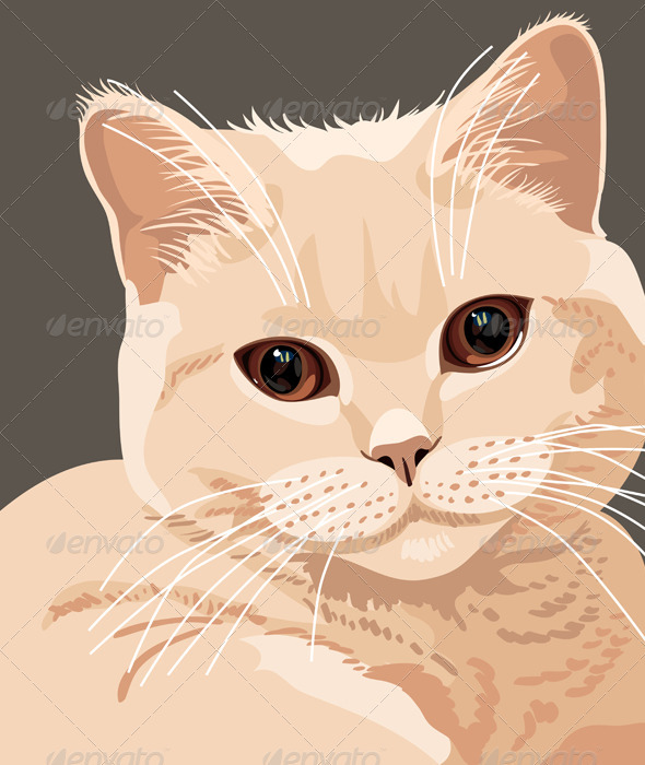 Vector view of british lilac cat closeup - Animals Characters