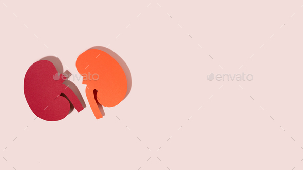 Concept text World kidney day, handcraft paper red kidneys on pink background