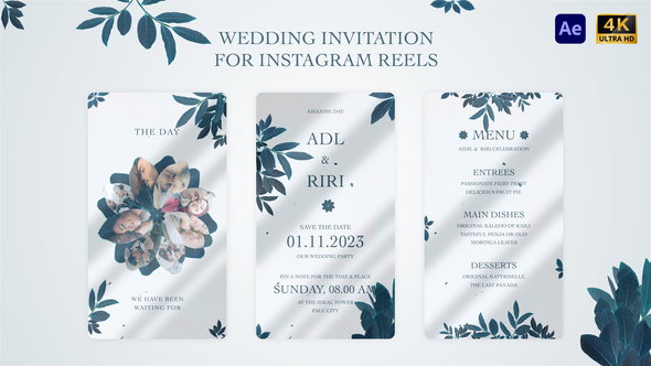 Wedding Invitation for Instagram Reel