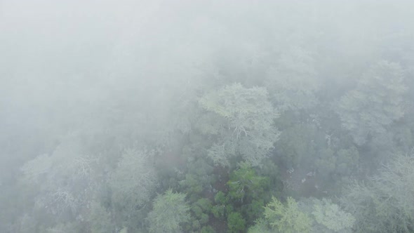 Rainy Weather in Mountains alt