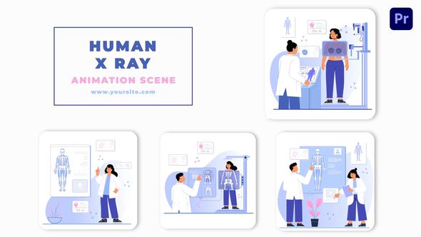 Human X Ray Premiere Pro Animation Scene