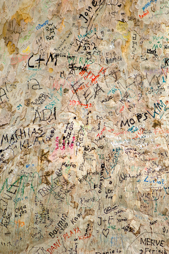 Graffiti - Nature Textures