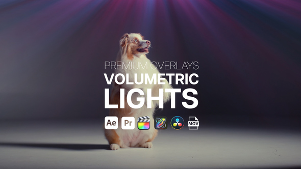Premium Overlays Volumentric Lights Elements template preview