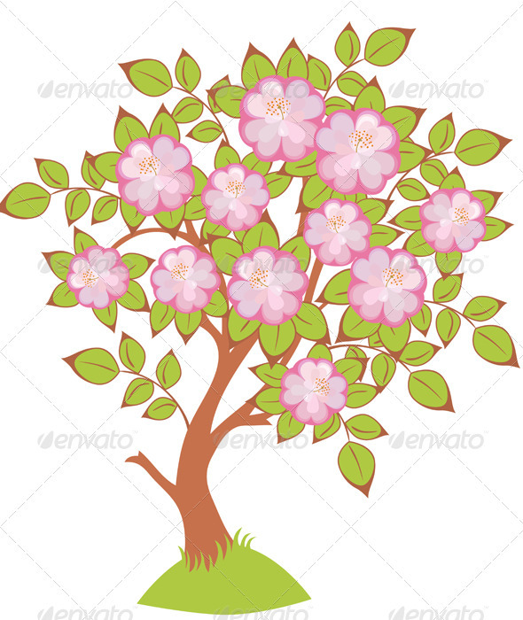 Vector of cherry blossoms - Flowers & Plants Nature