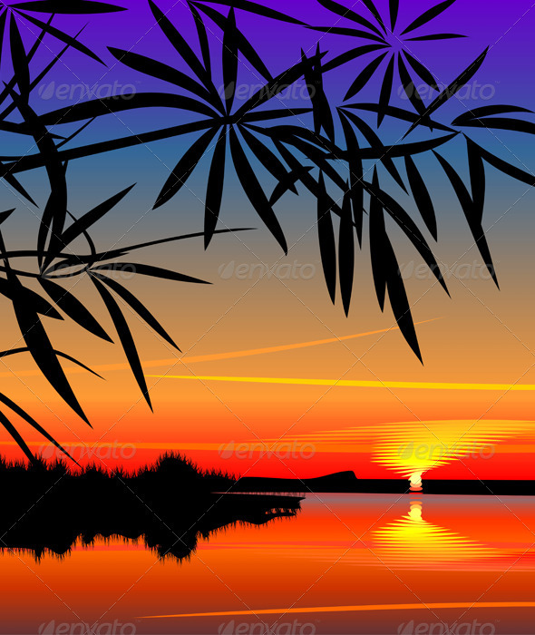 Vector beautiful sunset over the lake