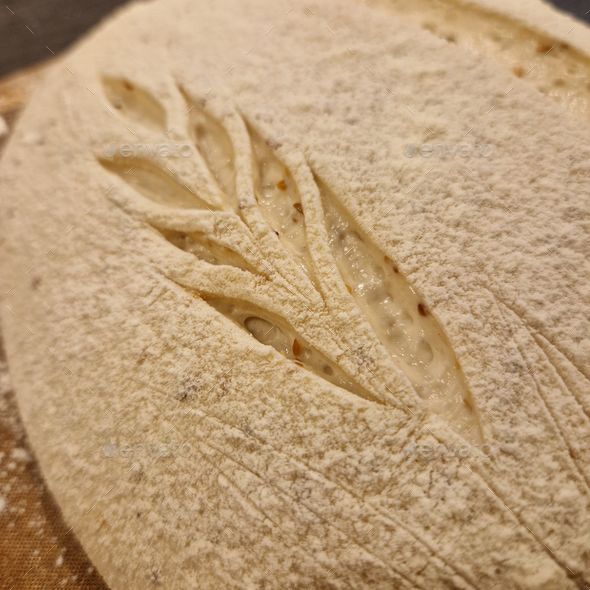 Process of making sourdough bread Stock Photo by wirestock | PhotoDune