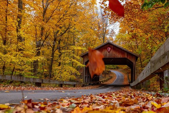 Scenic view of an abandoned covered bridge surrounded by a blanket of  autumn foliage in Michigan Stock Photo by wirestock