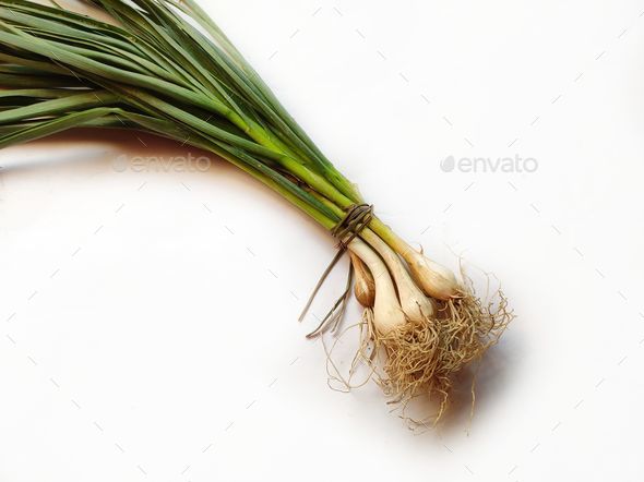Young green spring garlic. Stock Photo by wirestock