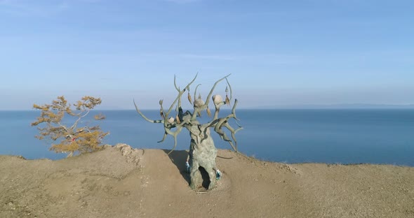 Lake Baikal landscape Iconic landmark - Baikal Keeper Tree Tranquil alt