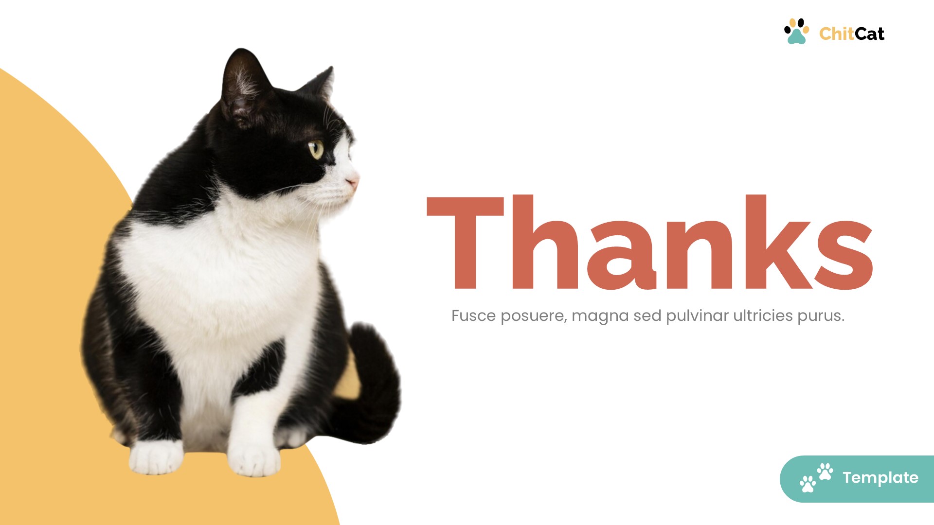 ChitCat - Cat Animal Powerpoint Template, Presentation Templates ...