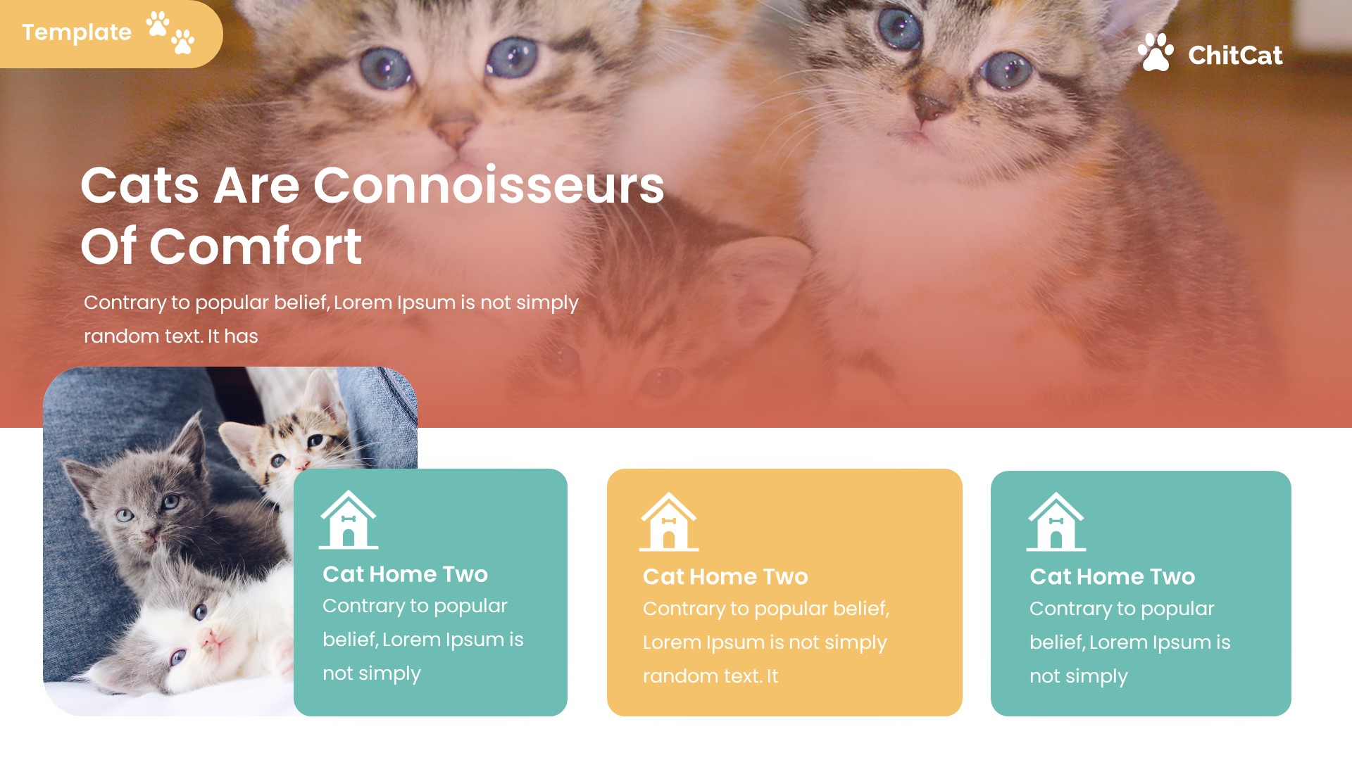 ChitCat - Cat Animal Powerpoint Template, Presentation Templates ...