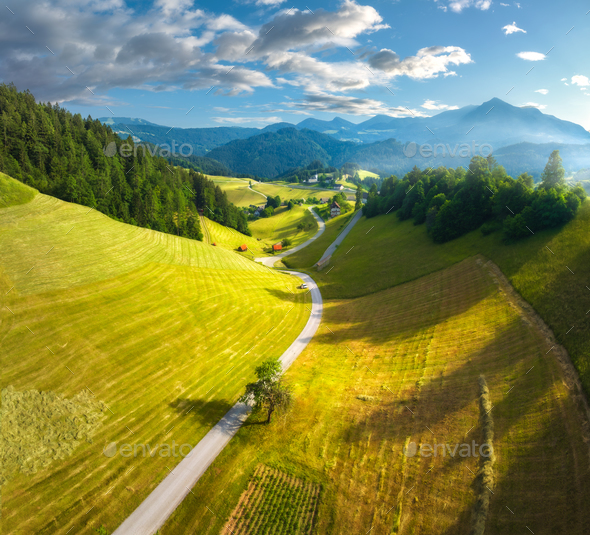 Country Road on Summer Dusk  Nature photography, Country roads, Road  photography