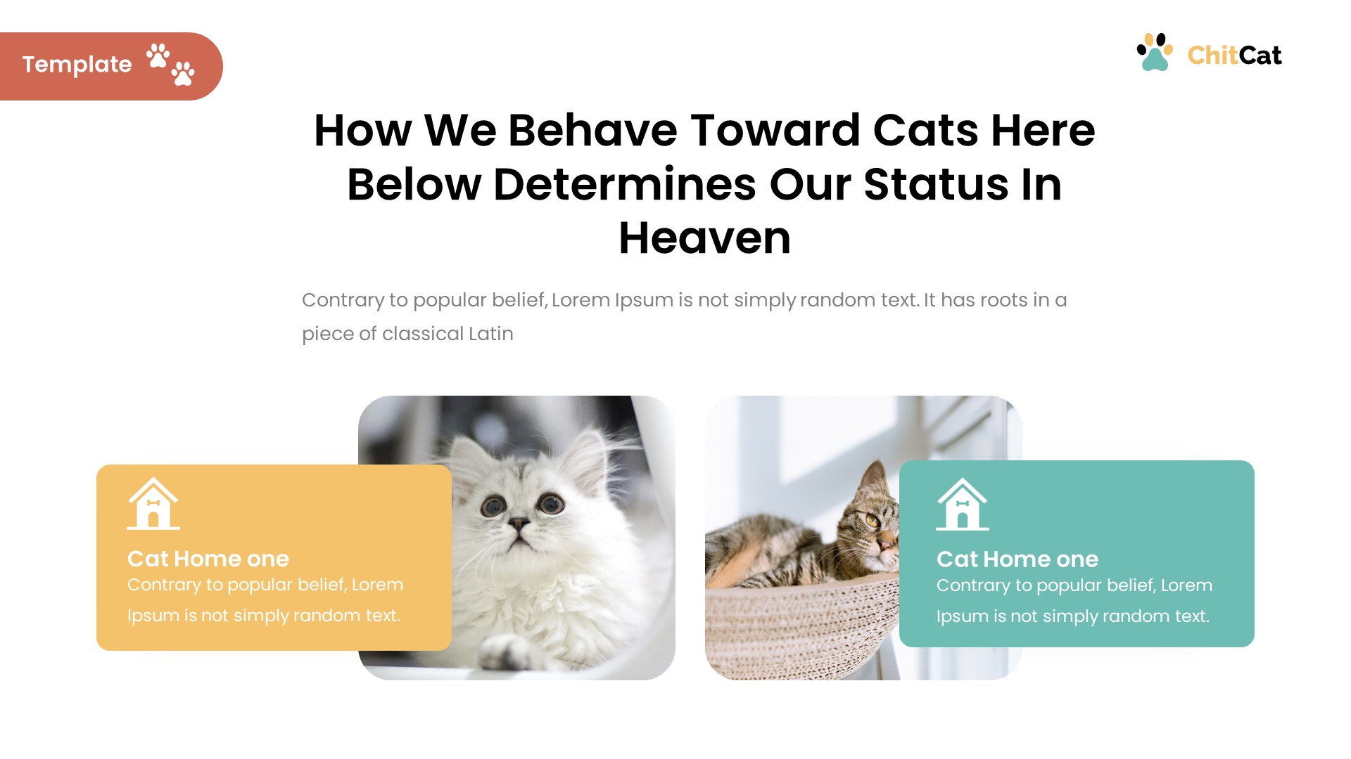 ChitCat - Cat Animal Google Slides Template, Presentation Templates