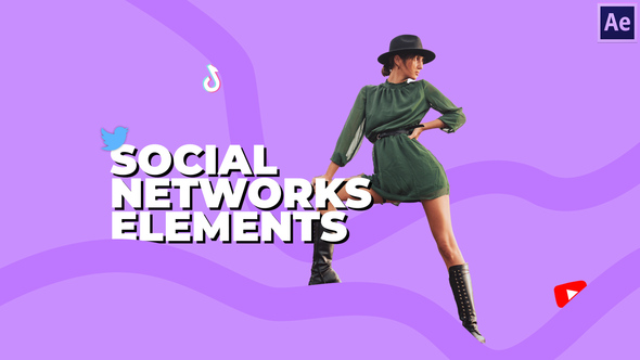 Social Networks Elements