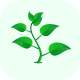 Plant Parent Assistant - iOS App - Water Reminder For Plants - Plants Care Guidance - Tips