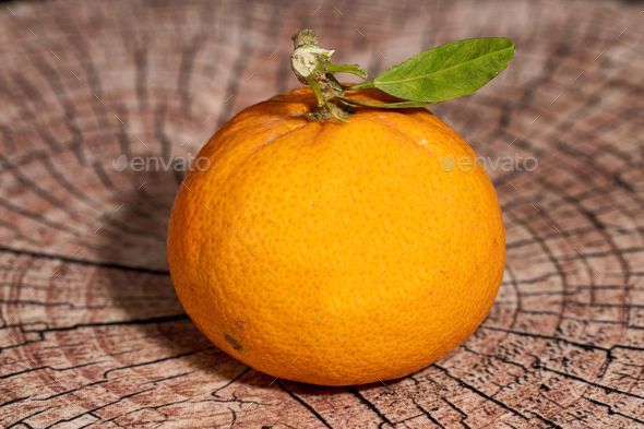 Mandarin orange sits atop a wooden tree stump with vibrant green leaves sprouting from the sides