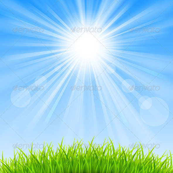 Summer Background - Landscapes Nature