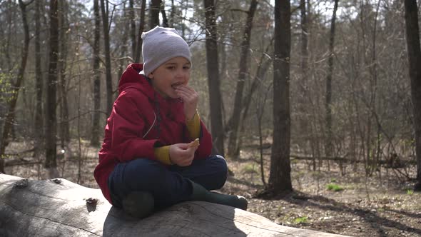 a Boy Eats Cookies in the Forest, a Little Boy Sat in a Tree