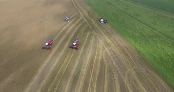 Topdown View of Harvesters Working in a Wheat Field alt