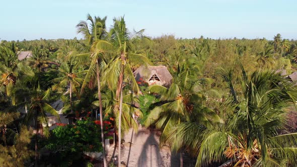 Aerial View African Tropical Beach Resort ThatchedRoof Hotels Pools Zanzibar alt