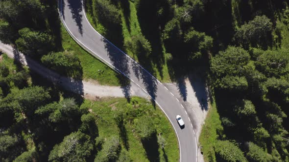 Bird's Eye View of Winding Road By Dolomites with Forest Trees on Both Sides alt