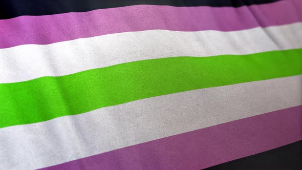 Agender Girl Pride Flag Loop