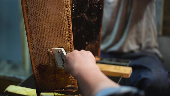 Beekeeper Scraping Off the Wax Caps on a Hive Frame From Honey Bees To Exctract Fresh Honey alt