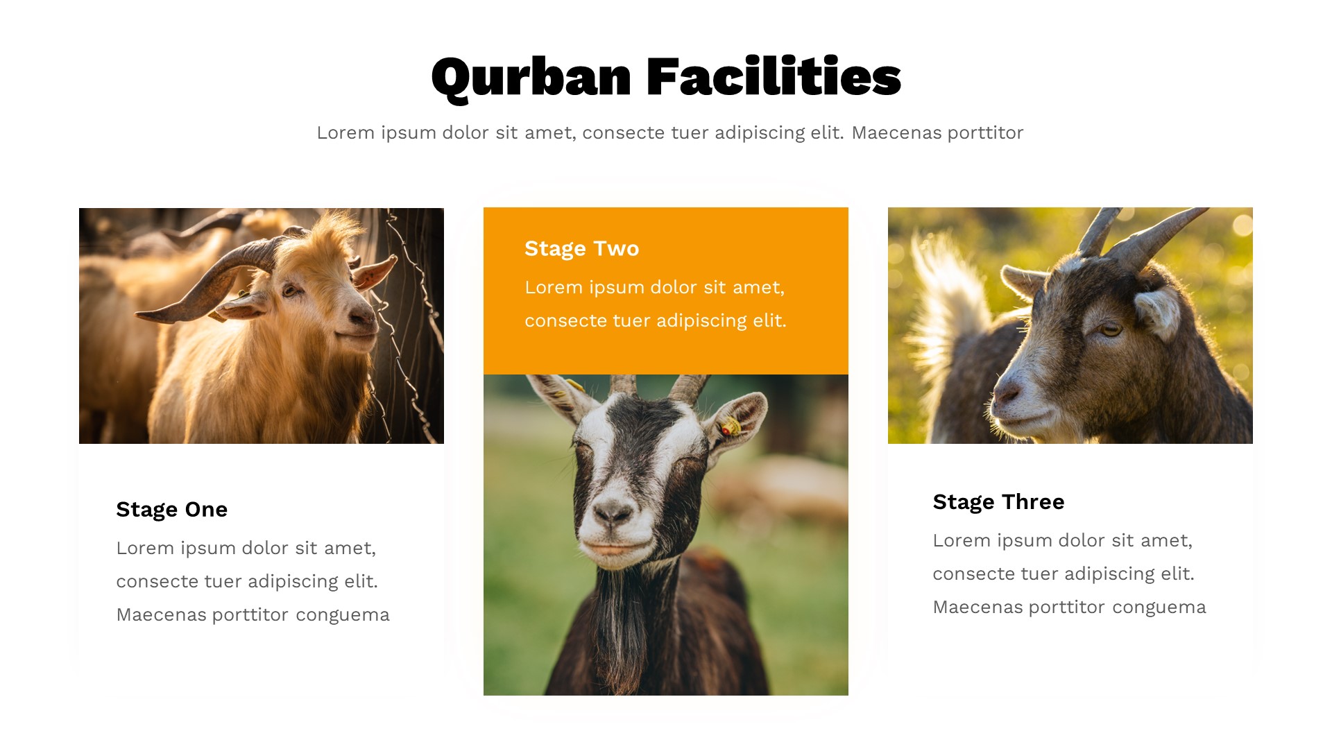 Qurban - Eid-al-Adha Islamic Celebration Powerpoint Template ...