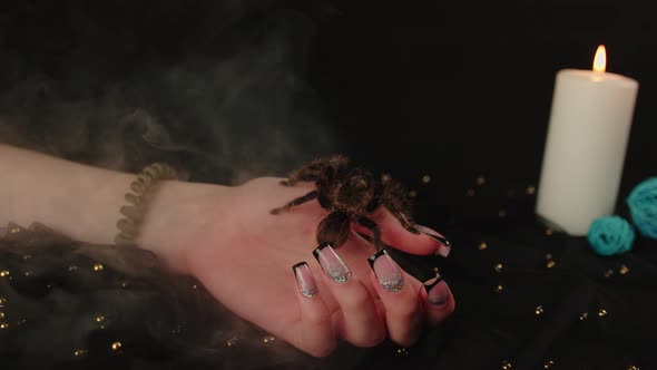 Young Girl's Hand with Manicure and Big Spider with Steam on Black Background alt