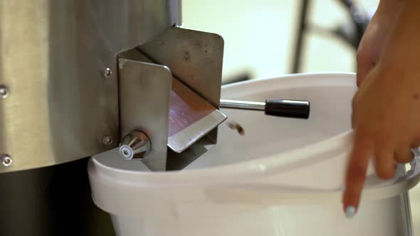 Close Up Footage of Freshly Roasted Coffee Beans Falling Down Into Container While Person alt