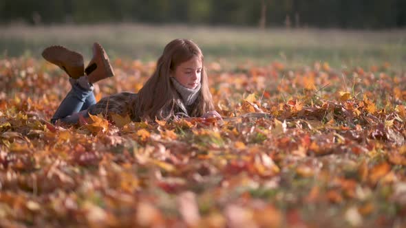 Child Reads A Book in a Sunny Autumn Park.
