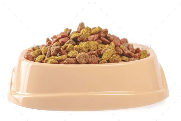 Bowl of a pet food isolated on the white background Stock Photo by ...