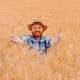 Happy farmer showing thumbs up while standing in his growing wheat seeds field. - PhotoDune Item for Sale