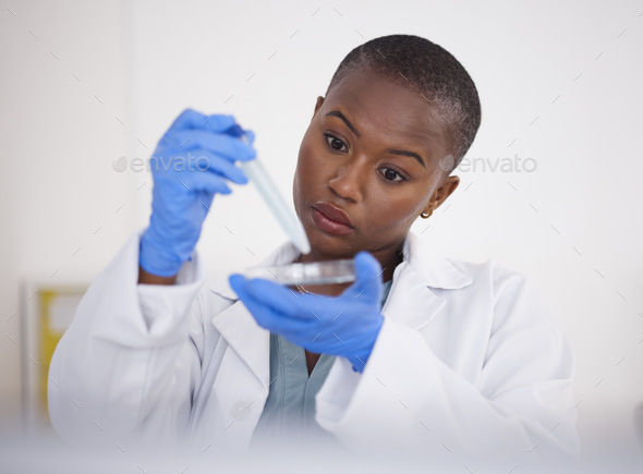 Hands, petri dish and black woman scientist with DNA sample, science experiment and medical researc