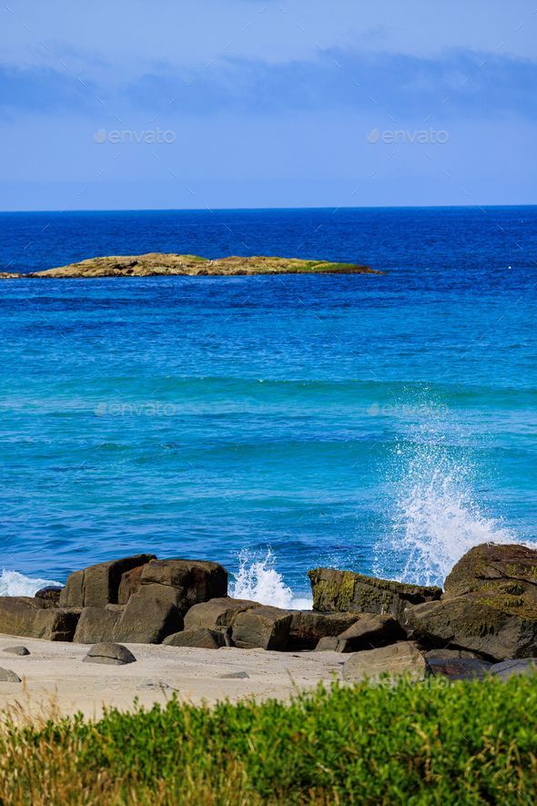 Grassy Shoreline Background