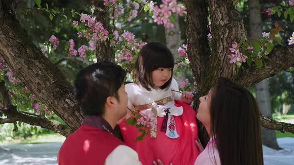 Korean Family in National Costumes in Nature Stands Next to a Cherry Blossoming Tree alt