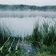 Three carp fishing rods in rod pod on a background of lake and nature.  Fishing background. Carp Stock Photo by kurinchukolha