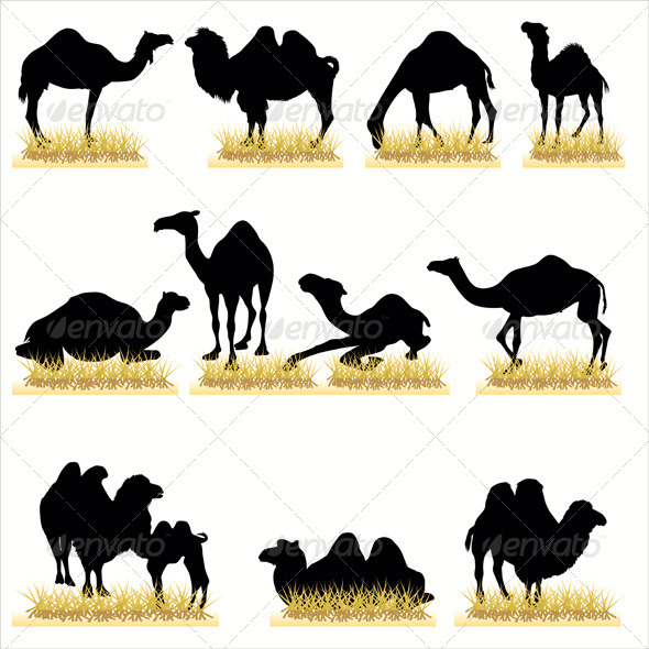 Camels Silhouettes Set